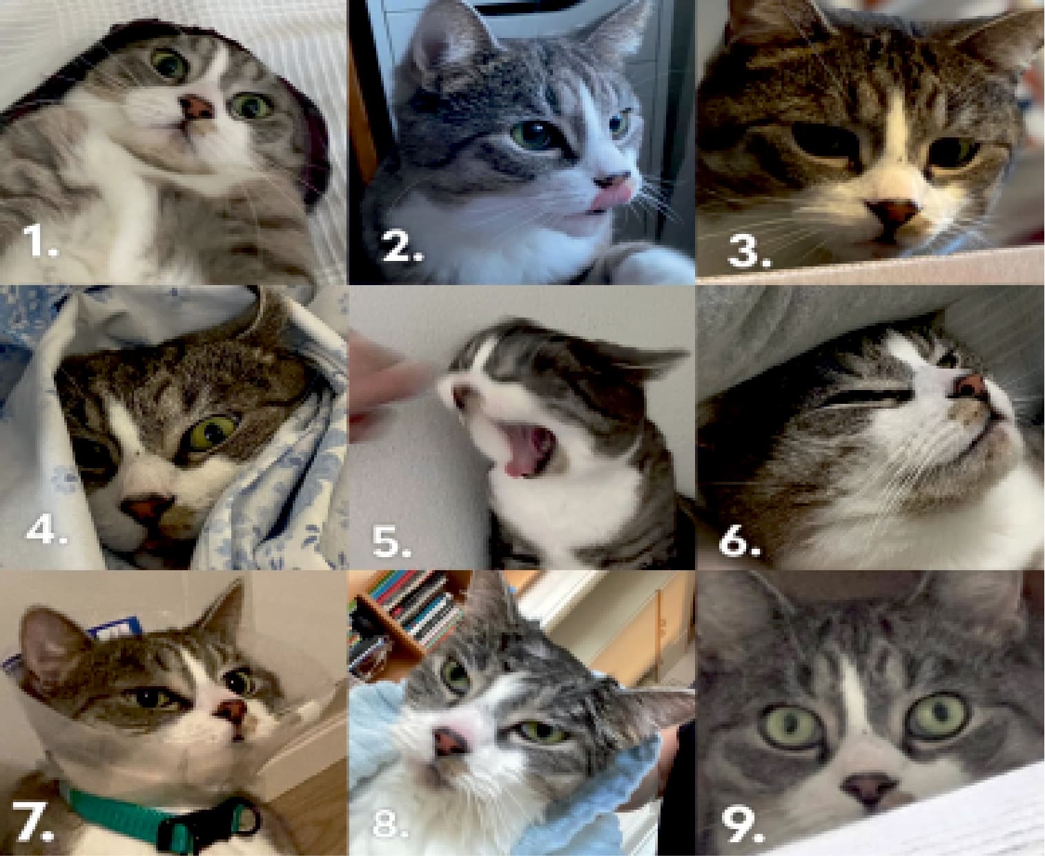 How are you feeling today